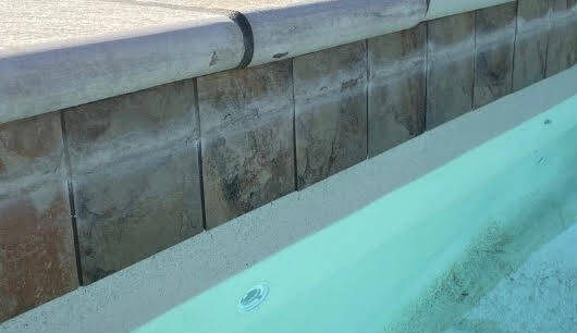 Specialty Pool Tile Cleaning Services
